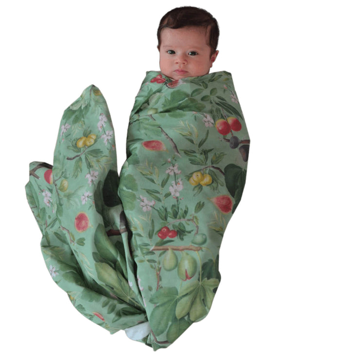 Baby Wrapped in Fig Swaddle by The Swaddle Society